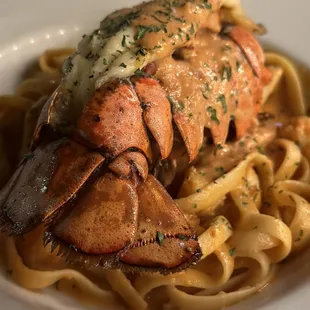 Lobster Fettuccine
