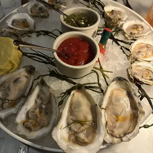 Oysters