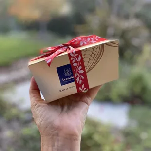 a hand holding a box of chocolates
