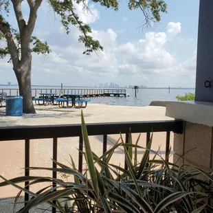 A view of the Tampa skyline from my table
