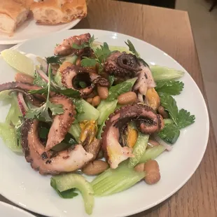 Octopus beans and mussels salad