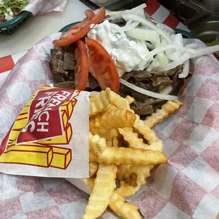 Gyro meal with fries