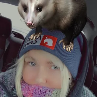 Kali S.