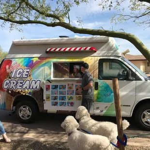 Dogs love ice cream too!