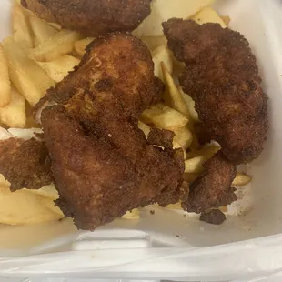 Tenders cooked in old grease, over cooked and white fries, undercooked!