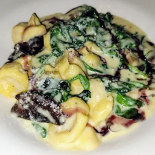 Specials menu - Truffle Sacciette