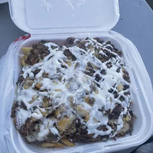 Carne asada fries