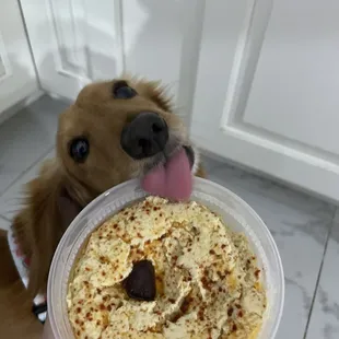 bagels, food