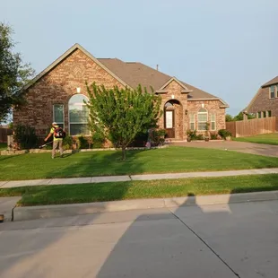 Leo's Tree Service