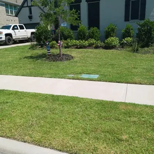 a fire hydrant in front of a house
