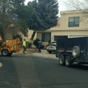 a tree being removed
