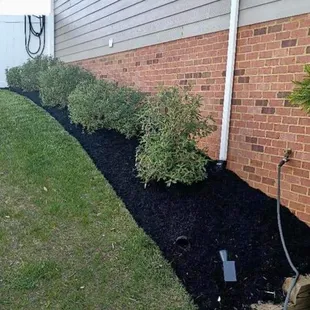 a picture of a garden