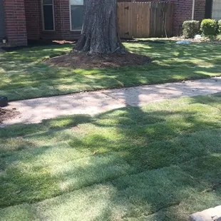 the front yard of a house