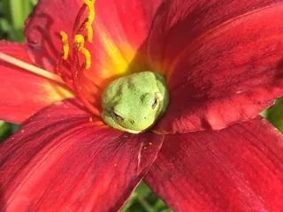 Nelson Nursery Inc-Garden Center