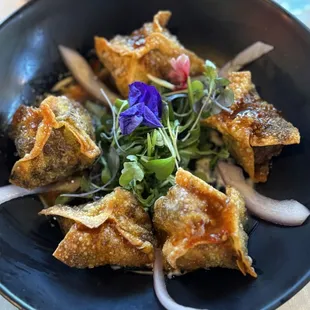 Short Rib Wontons