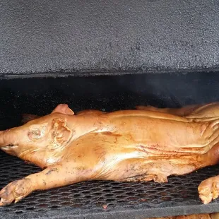 LE'POUGH'S Le' Pig...