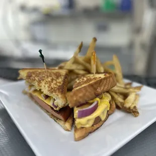 Lee's fried bologna sandwich and fries