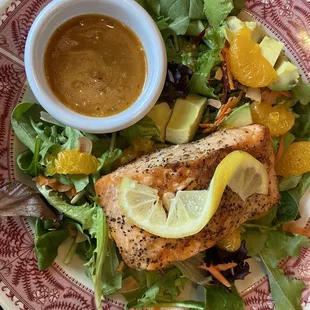 Salmon Salad
