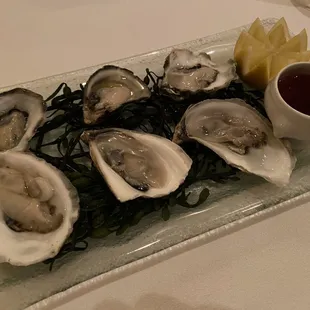 food, oysters and mussels, oysters, mussels, shellfish