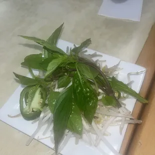 Fresh veggies for noodle soup