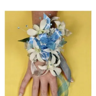 What I ordered from their website