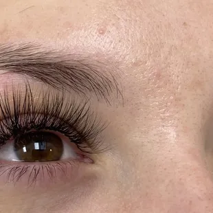 Volume Lash Extension