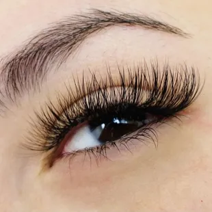 5D Volume Lash Extension