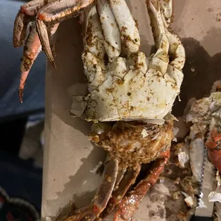 These two pieces showed above are all &apos;Jumbo&apos; size crab while the bottom one does not qualify as a Jumbo.