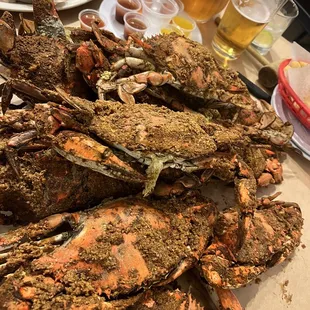 Blue crabs