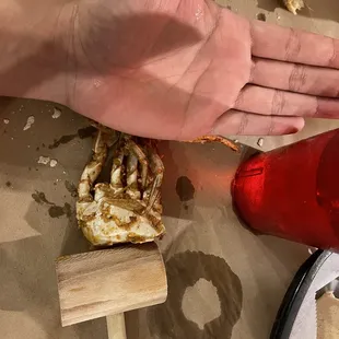 This the &apos;Jumbo&apos; size crab, which they charge $70 for a dozen.