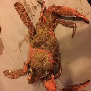 not bad. I will come again.