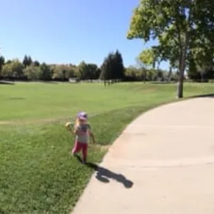 Panoramic of the field.