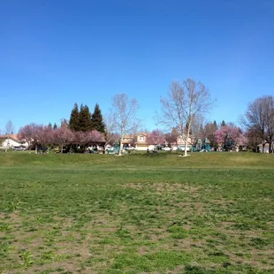 Lots of room to run around