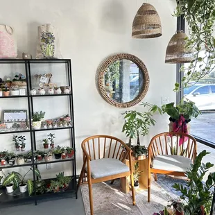 Plants, notebook, potted plants