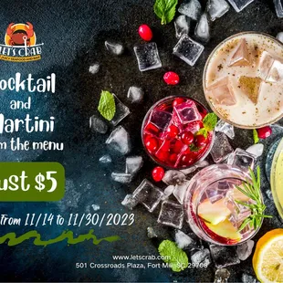 🍸🍸🍸 From 11/14-11/30, enjoy Cocktail and Martini from the menu for only $5!