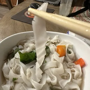 Thick Noodles