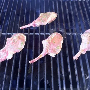 Wild boar chops - Olive oil, rosemary, salt and pepper on the grill