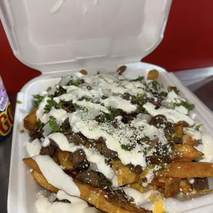 Carne asada fries