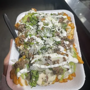 Asada waffle fries