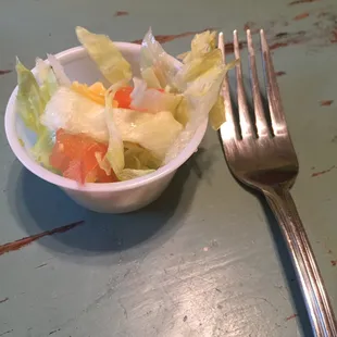 This is the side salad! It came in a hot sauce container.  If you order to go...it is pretty bad consistently.