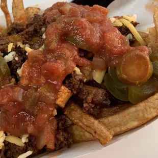 Small Order Of Loaded Taco Fries