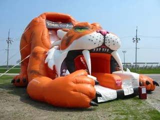 Outrageous Adventures