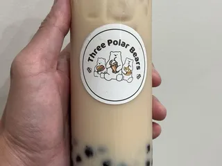 Three polar bears