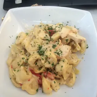 Chicken Tortellini