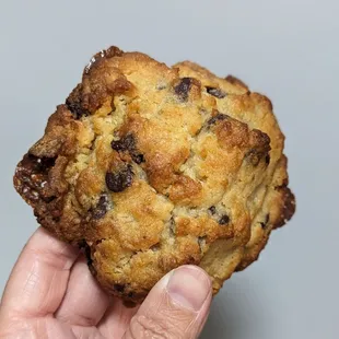 Caramel coconut chocolate chip cookie