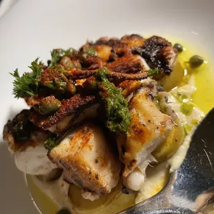 Grilled Octopus