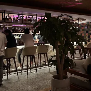 Bar Area