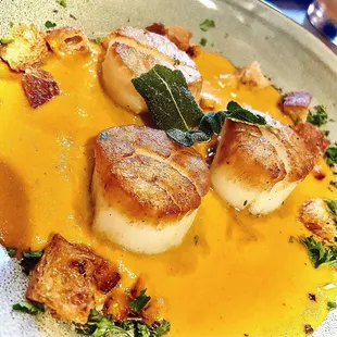 Pan Seared Scallops