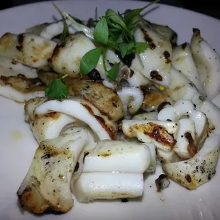 Grilled Calamari