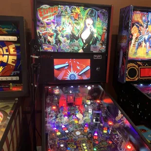 Elvira pinball game